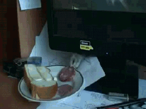 1358929466_1800419418.gif