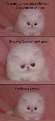 котэ-Голлум-властелин-колец-фильмы-671387.jpeg